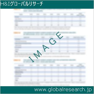 グローバルリサーチ調査レポートのイメージ